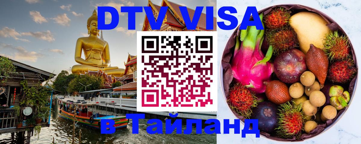 Сколько стоит DTV виза — актуальные цены, оформление даже без документов - 08.01.2026 